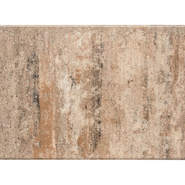 1202644 Via Muschelkalk 60x40x4 cm PE2